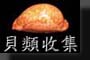 貝類、貝殼、海貝、螺類、腹足綱(Sea Shell)
